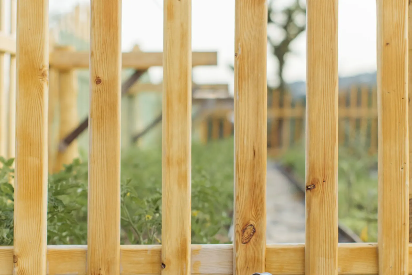 A close-boarded timber fence run along a garden boundary