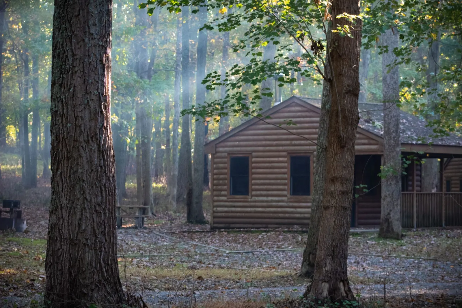 A timber cabin standing among trees at the end of a garden