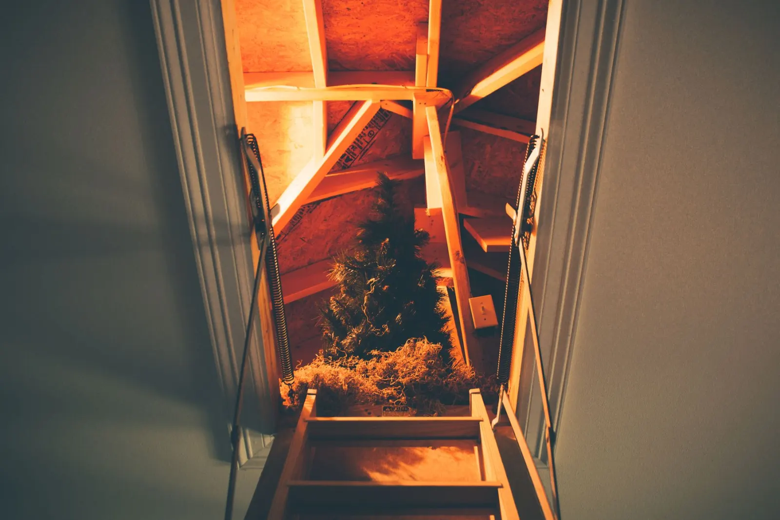 The inside of a roof showing the rafters and ridge