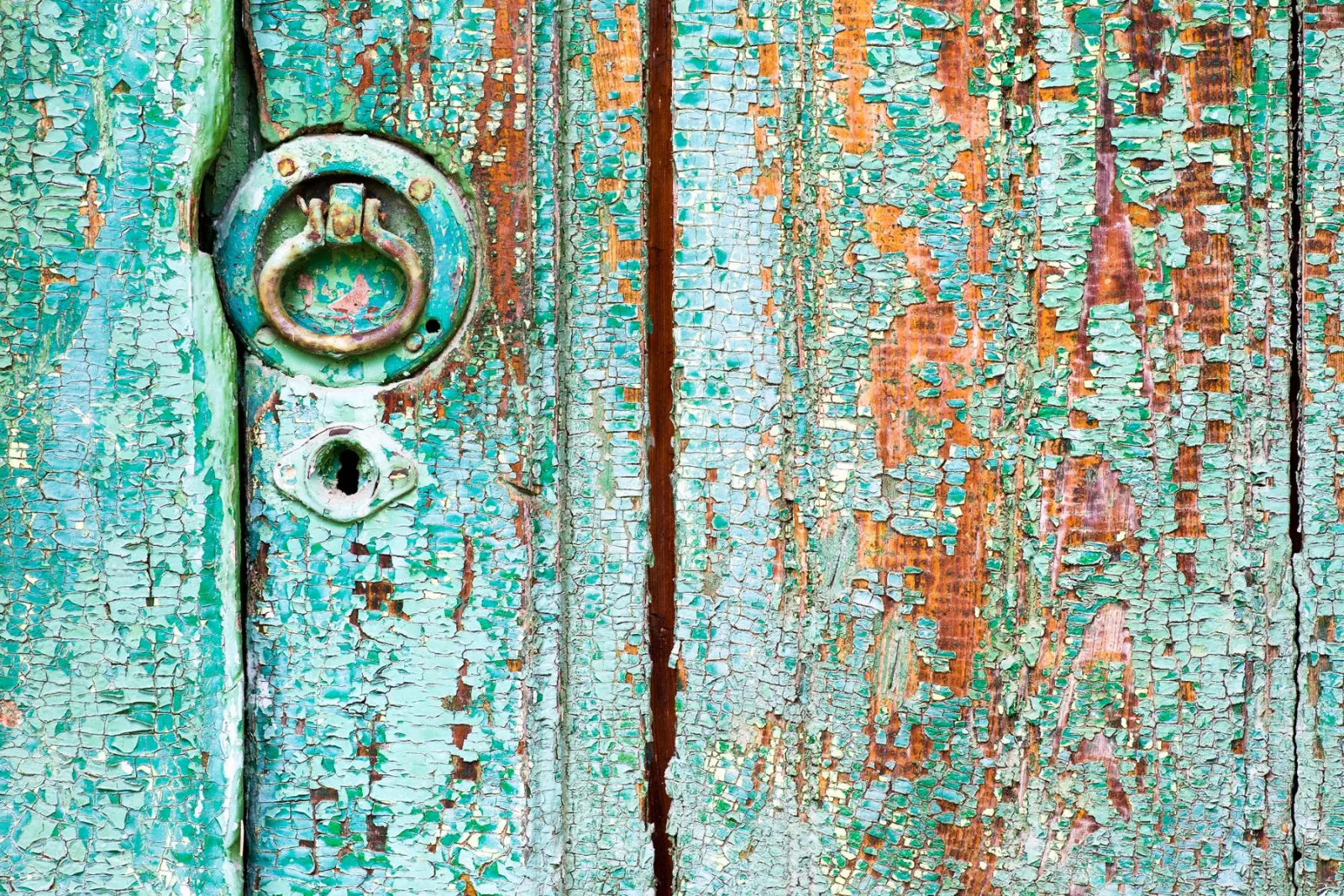Paint failing on an old timber door where water has got in